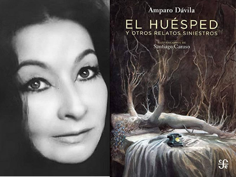 La incertidumbre, lo siniestro y lo fantástico de la vida cotidiana en la narrativa de Amparo Dávila